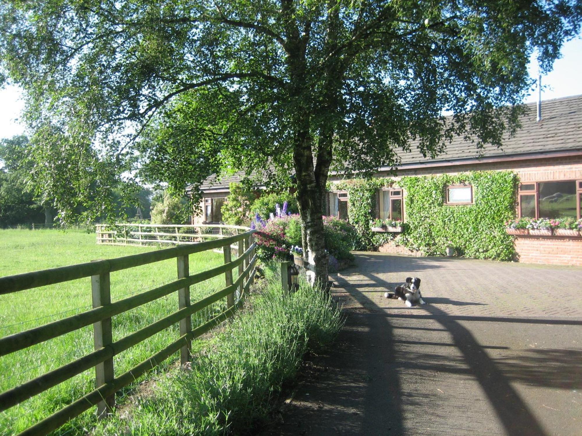 Bed and Breakfast Ladderstile Retreat Congleton Zewnętrze zdjęcie